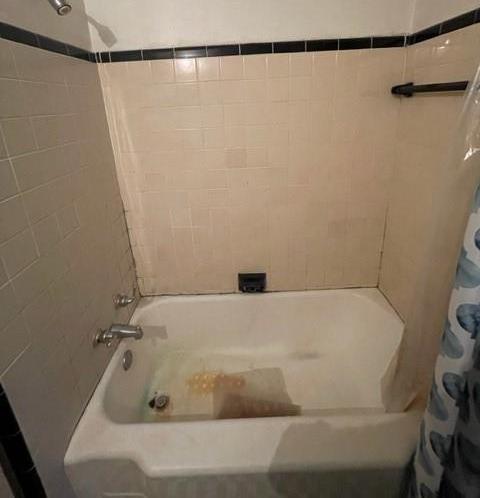 Photo #13