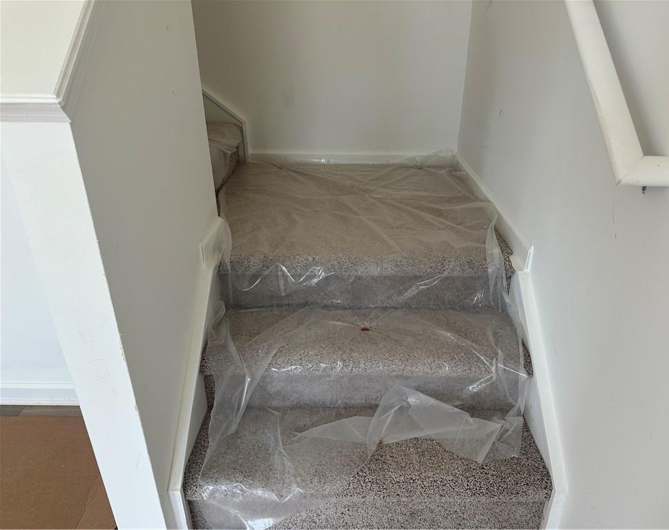 Photo #11