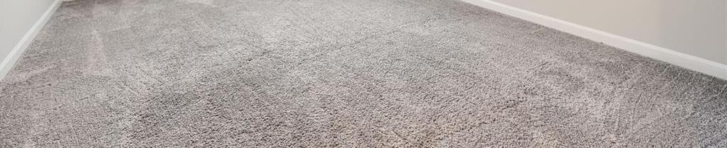 Photo #23