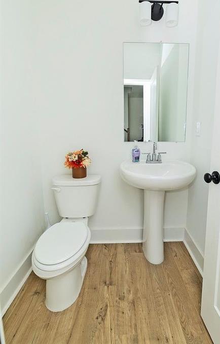 Photo #12