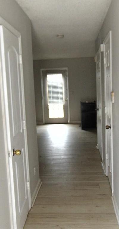 Photo #3