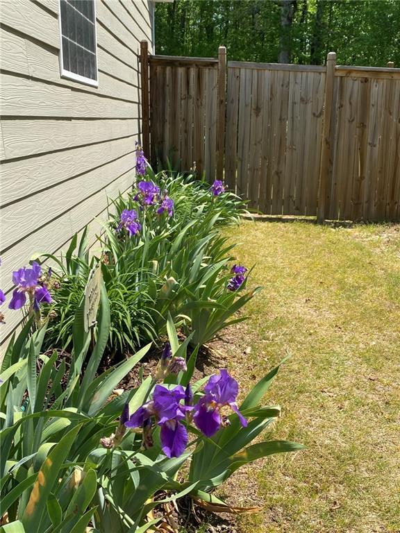 Photo #21