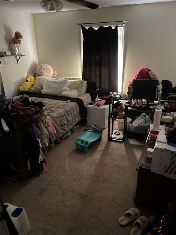 Photo #20