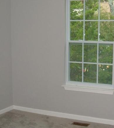 Photo #17