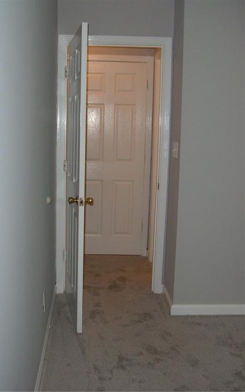 Photo #16