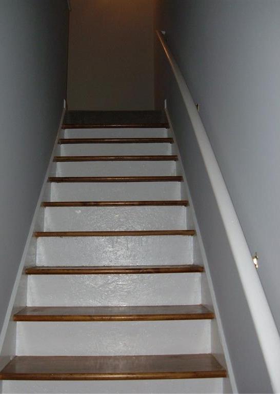 Photo #14