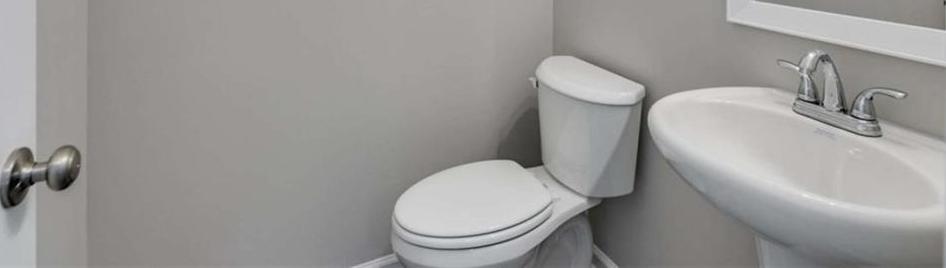 Photo #10