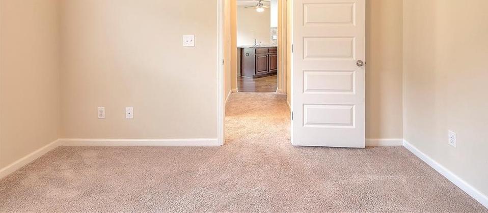 Photo #31