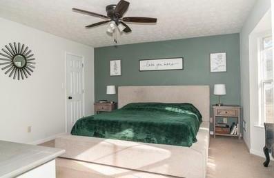 Photo #15