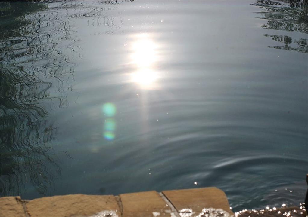 Photo #66
