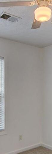 Photo #24