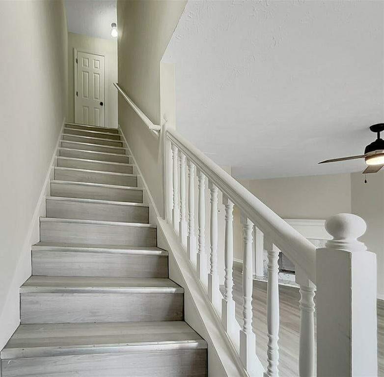 Photo #5