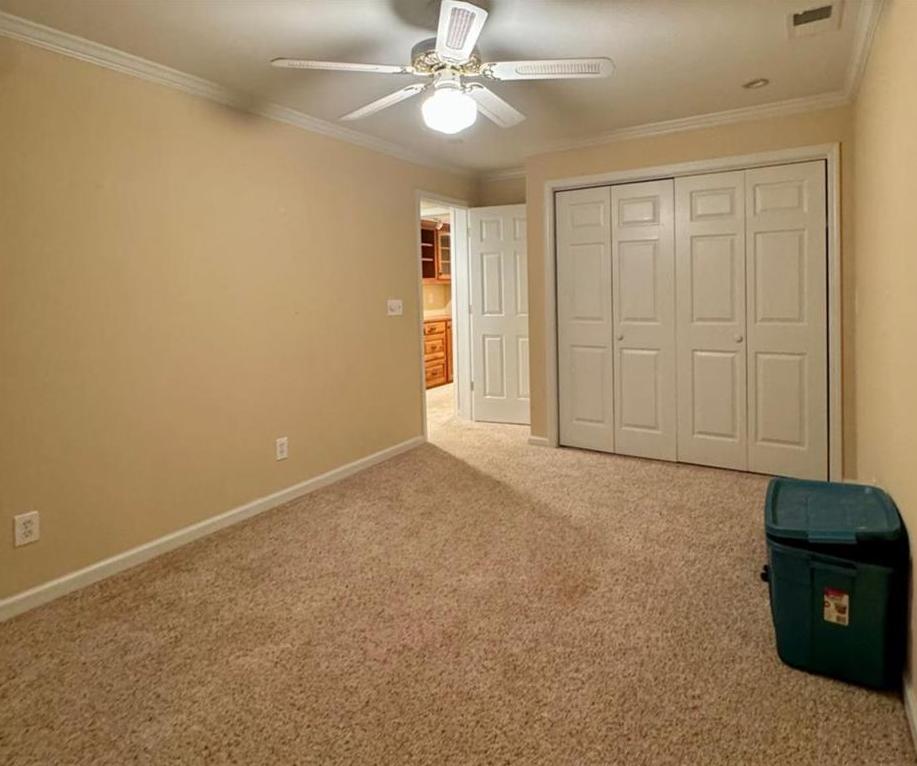 Photo #41