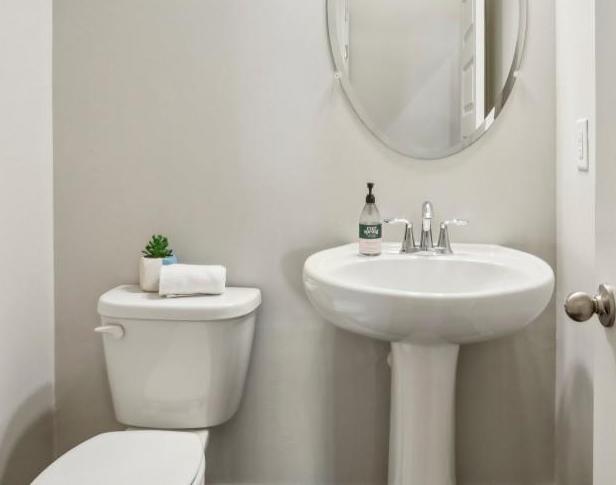 Photo #17