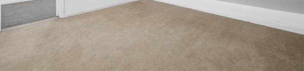Photo #13