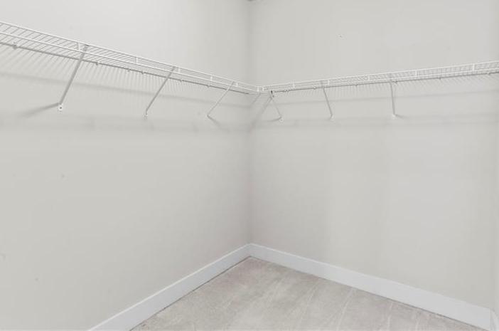 Photo #15