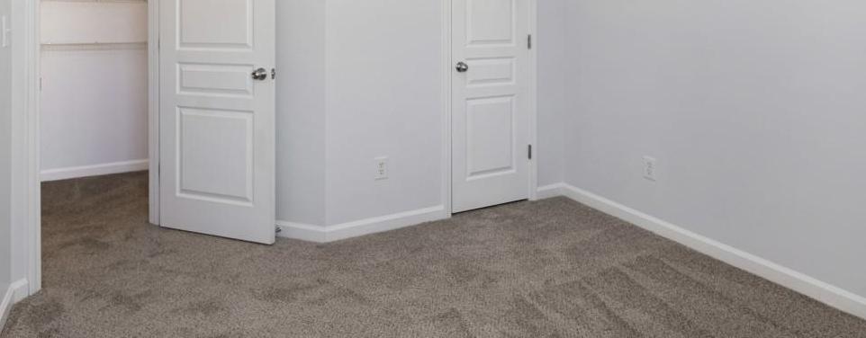 Photo #31
