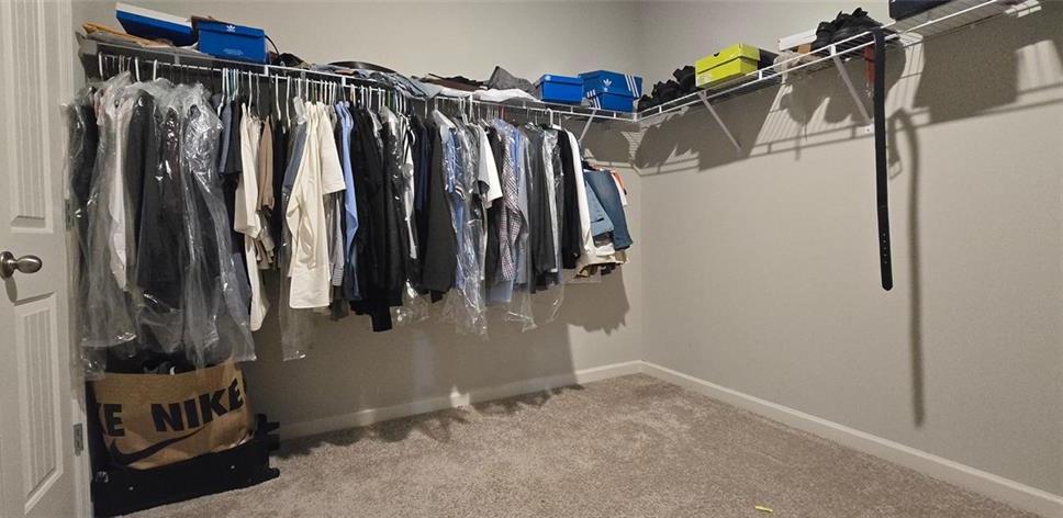 Photo #76