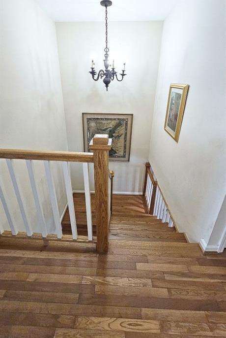 Photo #17