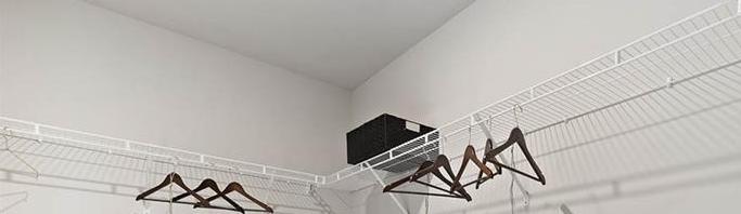 Photo #14
