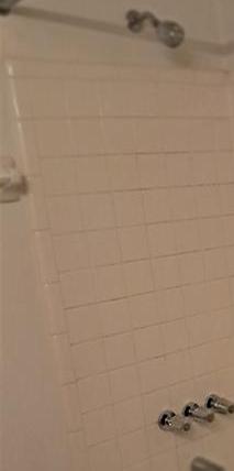 Photo #15