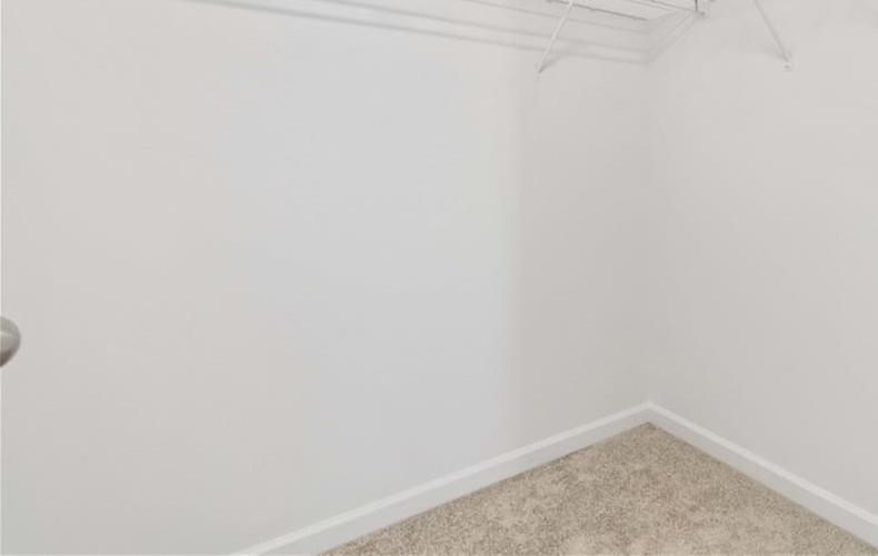 Photo #15