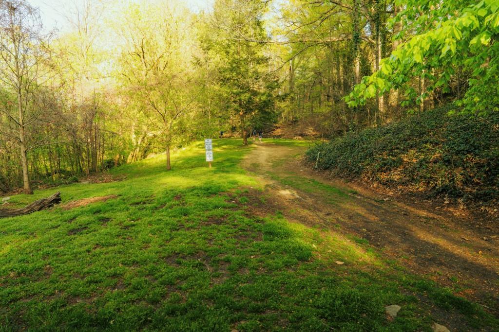 Photo #30