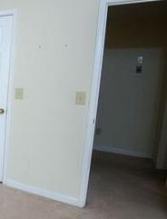Photo #41