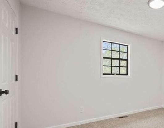 Photo #14