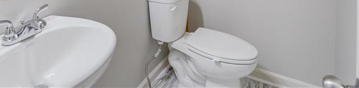Photo #14