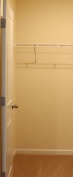 Photo #32