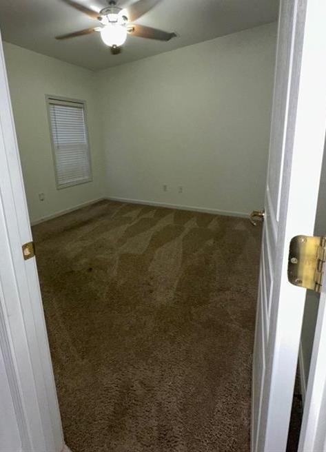 Photo #42