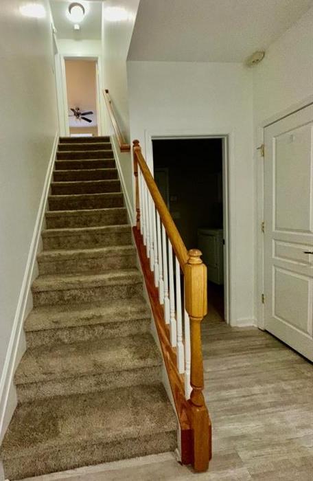 Photo #45