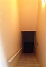 Photo #7