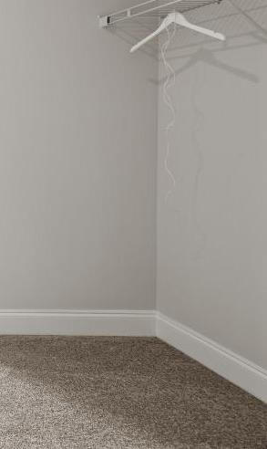 Photo #38