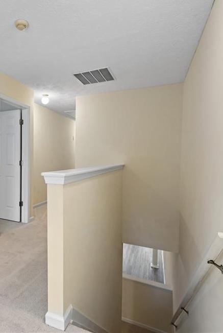 Photo #8