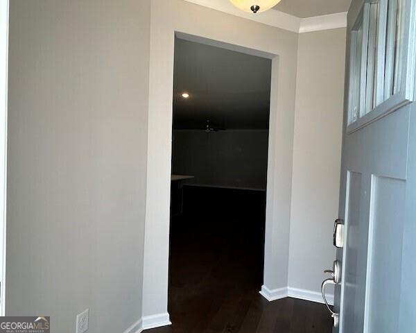 Photo #5