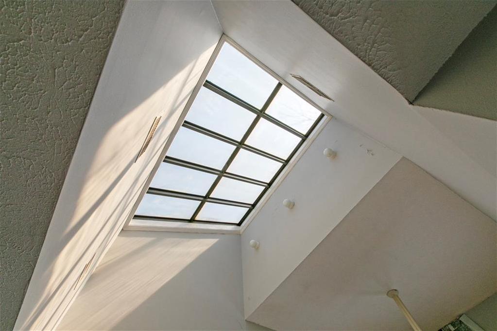 Photo #9