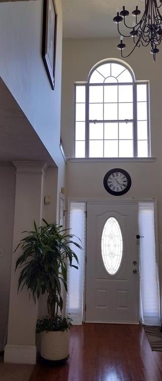 Photo #3