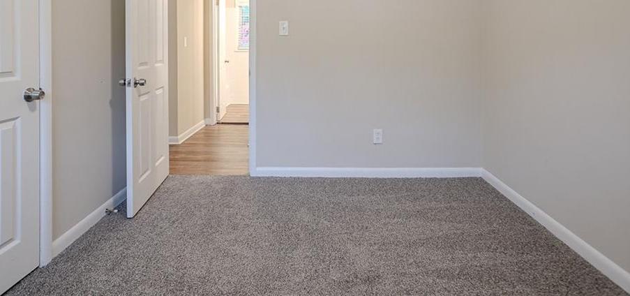 Photo #13