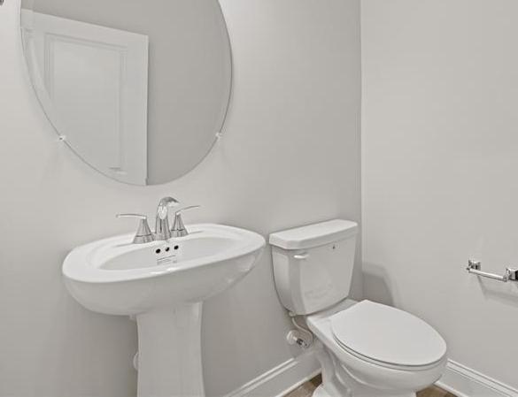 Photo #11
