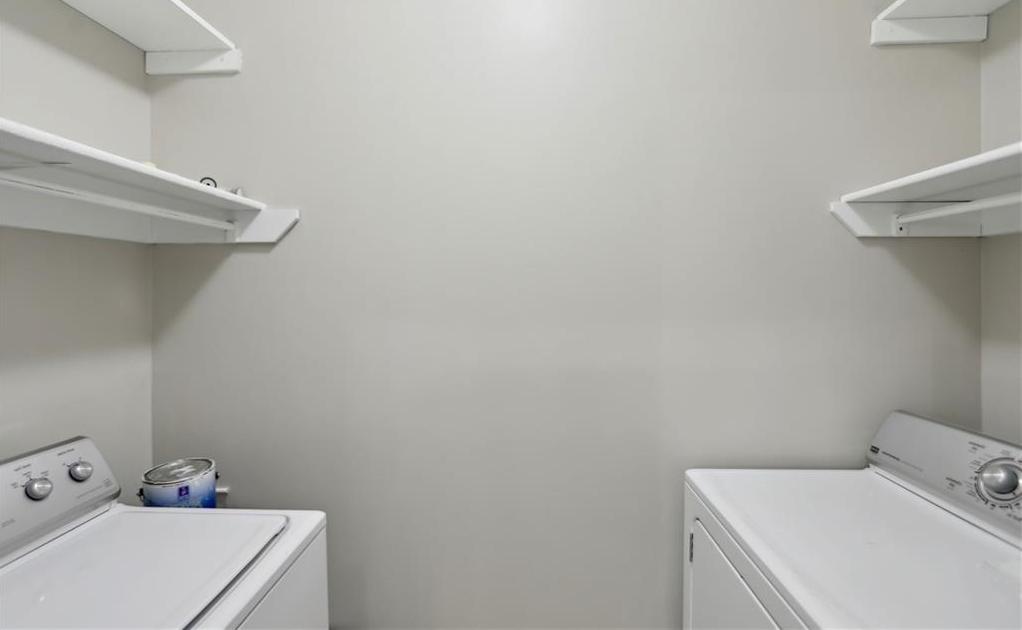 Photo #12