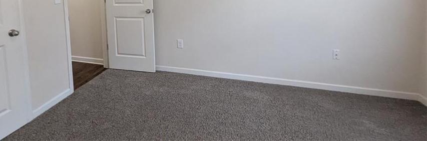 Photo #14