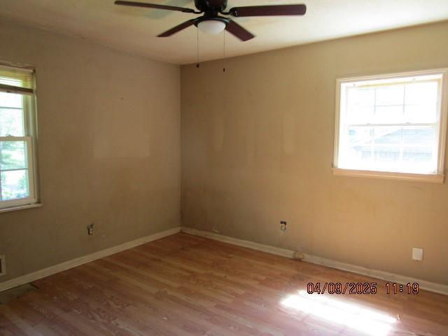Photo #10
