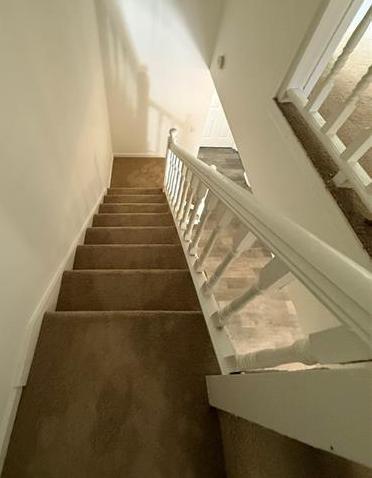 Photo #11