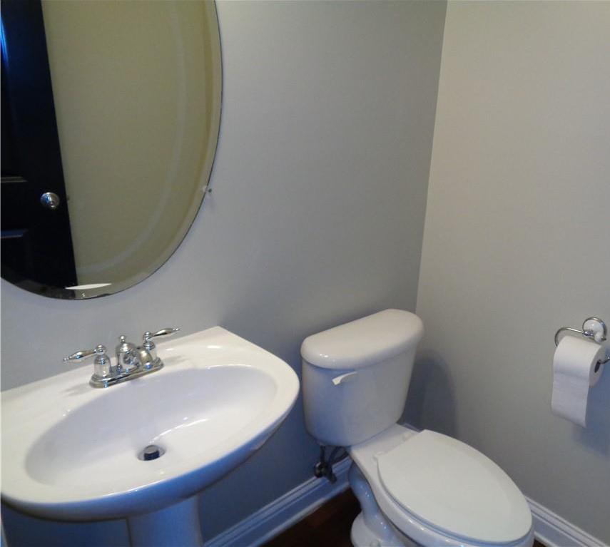 Photo #16