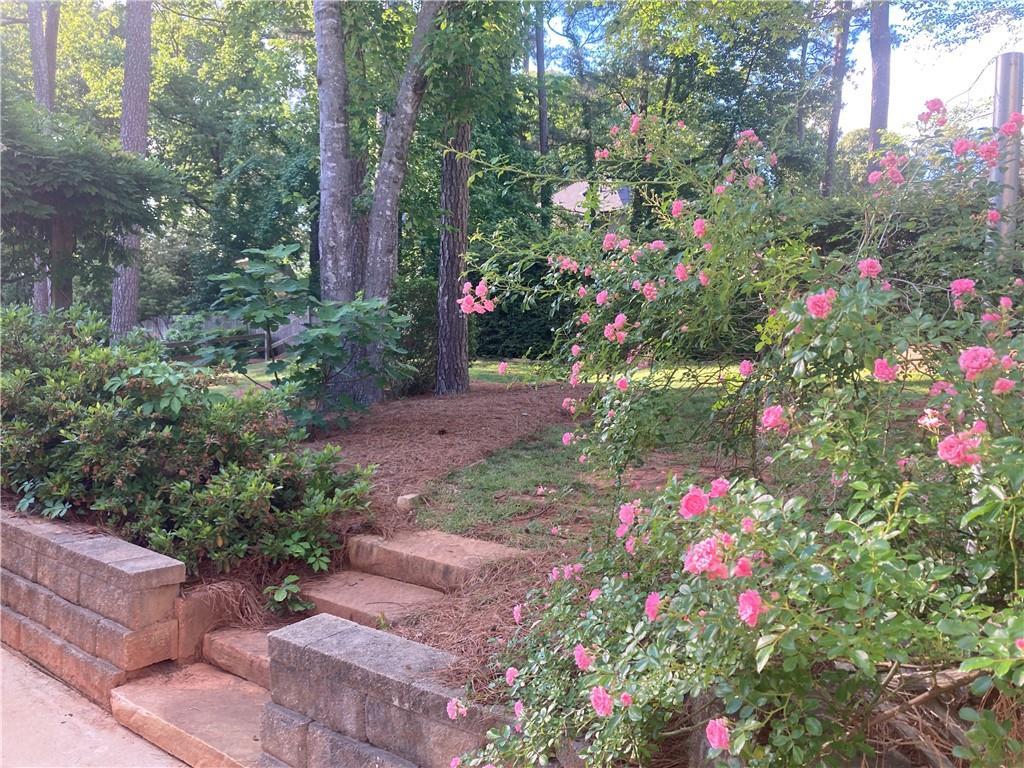 Photo #24