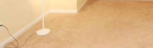 Photo #14