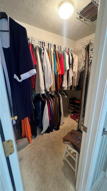 Photo #21