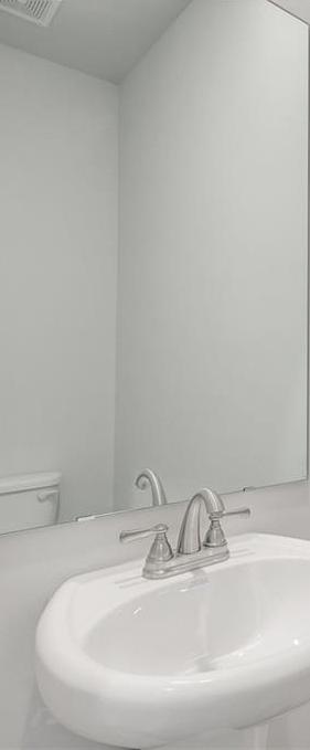 Photo #12